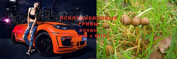 a pvp Белокуриха