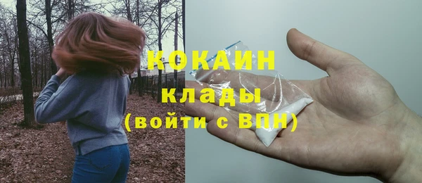 a pvp Белокуриха