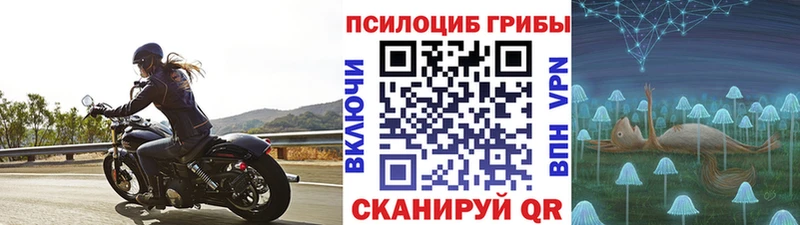 как найти наркотики  Кореновск  ссылка на мегу зеркало  Псилоцибиновые грибы Magic Shrooms 